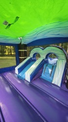 good20inside20view20combo 1749343217 Tropical Water Slide Bounce House Combo