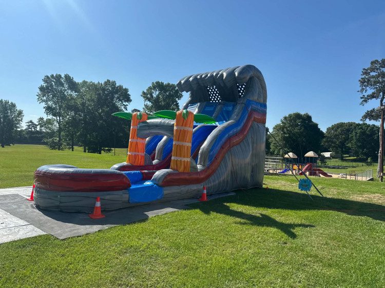 18ft Palm Plummet Dual Lane Waterslide
